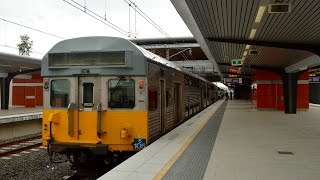 Trains at Leppington  Sydney Trains [upl. by Dianna]