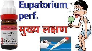 Eupatorium perfoliatum 30 ch 200ch uses in hindi Homeopathic master [upl. by Dachy]