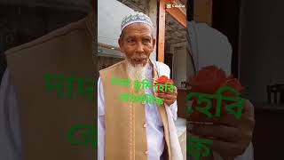 ফানি ভিডিও funny  fun video october2024 comedy [upl. by Ahsito]