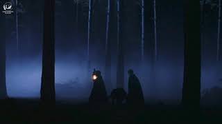 youre in the forbidden forest with harry and malfoy  Harry Potter inspired playlist [upl. by Anwahsak]