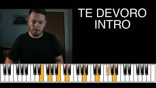 Te Devoro  Djavan INTRO [upl. by Otrebmuh762]