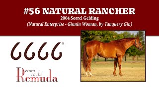 RTTR 2024  Hip 56 Natural Rancher [upl. by Neilla]