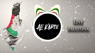 Leve Palestina Remix DJ Ali Karsu  تحيا فلسطين ريمكس [upl. by Immot]