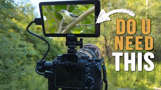 Why I Started Using an EXTERNAL Monitor for My Bird Photography  Shimbol Memory I [upl. by Amand]