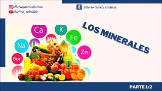 21 Los Minerales Parte 1 nutricion minerales [upl. by Akihsay]