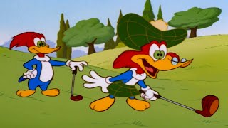 The FatherSon Golf Tournament  1 Hour of Woody Woodpecker Full Episodes [upl. by Philbin28]