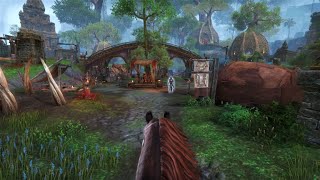 ESO looks like an 2023 game with this graphics mod [upl. by Farah]