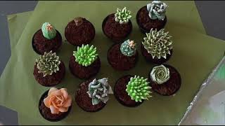 Making beautiful buttercream succulents [upl. by Amiarom]