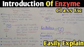 Introduction To Enzyme in biochemistry  Cofactor  Class 11 Biology [upl. by Siraved]