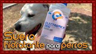 ¡Hidratación canina al siguiente nivel reseña del suero que cambiará la vida de tu perro [upl. by Odyssey460]