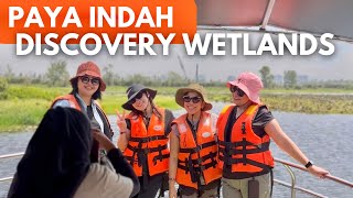 🇲🇾 Paya Indah Discovery Wetlands Adventure [upl. by Volotta]