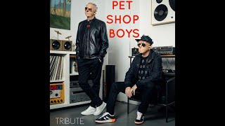 Pet Shop Boys Paninaro 2024 AI original Song single version [upl. by Toogood]