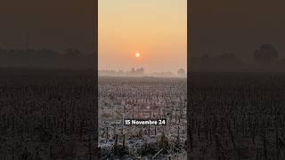 Prime gelate sui campi attorno a Torino questa mattina scaldate da un pallido sole meteo nature [upl. by Rocco]