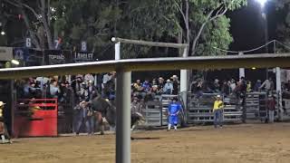 Mareeba Rodeo 2024 State of Origin Down to the last ride Queenslander [upl. by Doroteya]