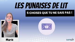 5 choses que tu ignores sur les punaises de lit [upl. by Mathilde485]