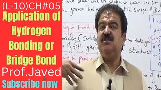 Application of Hydrogen or Bridge Bonding  L10  1st year Chemistry  Urdu  By ProfJaved khan [upl. by Intisar]