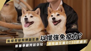 PURINA® PRO PLAN® 毛孩研究所  貓犬健康成長飲食錦囊 成年貓犬篇 [upl. by Nuriel]