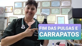 ACABAR COM PULGAS E CARRAPATOS NO AMBIENTE [upl. by Erlond168]