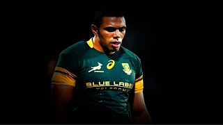 Bryan Habana  A Living Legend  Career Tribute ᴴᴰ [upl. by Boiney]