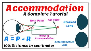 Accommodation A Complete Tutorial [upl. by Millhon]