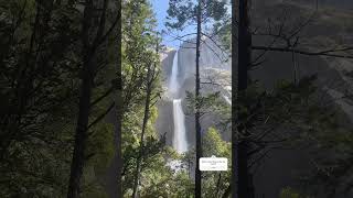 Exploring yosemite falls from All Angles shorts waterfall travel nature [upl. by Marigold]