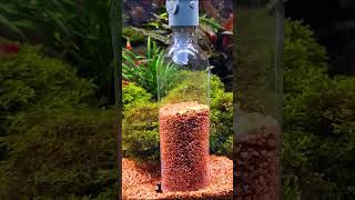 Aquarium Gravel Cleaner shorts [upl. by Soracco]