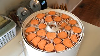 Dehydrated Sweet Potato Dog Treats [upl. by Nevarc]