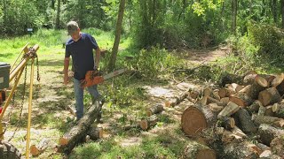 Cutting Cherry Logs with an Echo CS 590 [upl. by Nois]