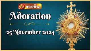 🔴 LIVE 25 November 2024 Adoration 1100 AM  Madha TV [upl. by Toy213]