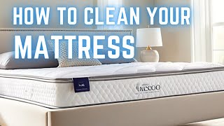 How To Clean Mattress Without Vacuum Cleaner  Deep Clean [upl. by Bills238]