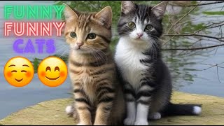 Funniest Cat Videos In The World 😹Funny Cat Videos On Youtube😂 Funny Cat Videos Compilation😺50 [upl. by Libove]