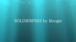 karaoke  高中正義  SOLDIERFISH  by Boogie [upl. by Ahsinor]