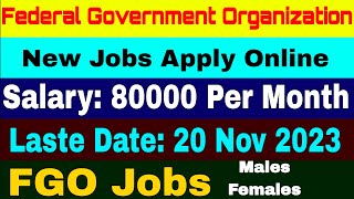 FGO Jobs Apply Online Nov 2023 • Federal Government Organization • Hafiz Sultan Official • FPSC Jobs [upl. by Edana]