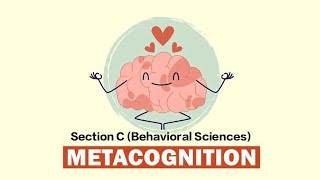 Metacognition  metacognition strategies to improve learning [upl. by Haduhey863]