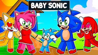 Sonic Adopted A Baby In Roblox [upl. by Ennovyhs102]