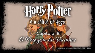 Harry Potter e o Cálice de Fogo  Capitulo 18  A Pesagem das Varinhas [upl. by Gracie]