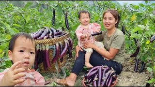 Single mother Make dried cassava with Baby  Harvest eggplants to sell atthe market Kalili Cooking [upl. by Sucramed]