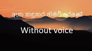 ඈත කඳුකර හිමව් අරණේ Atha Kandukara Without voice Karaoke W D Amaradewa [upl. by Deadman]