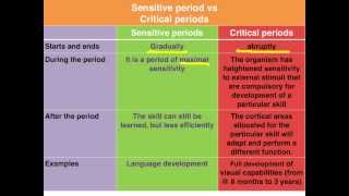 Sensitive vs Critical periods of learning  VCE Psychology [upl. by Smoht]