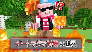 【マイクラ】チートマグマ武器の世界でエンドラ討伐！→2次会 ヴァンサバ [upl. by Nnairak397]