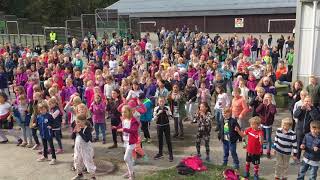 BliMe 2017 Greverud Skole [upl. by Ellener826]