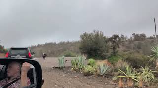 Driving past Domaine De La Roseraie in the morning fog Ouirgane Morocco20241017 [upl. by Archy]