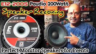 E12200 PAudio 200Watt Speaker Reconing  Perfect Monitor Speakers for Events [upl. by Osithe]