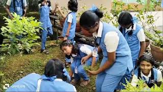 HOLY FAMILY HIGH SCHOOL ANGAMALY DRY DAY OBSERVATION [upl. by Hsekar]