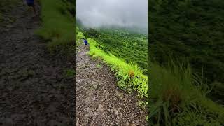 Tikona fortBest monsoon track for Beginners in Maharashtrapune full video link comment section [upl. by Zea]