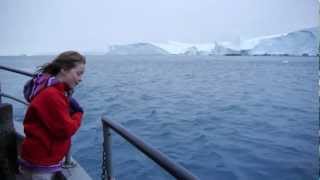 Humpback whales in Ilulissat Icefjord [upl. by Giverin]