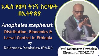 Anopheles stephensi distribution bionomics amp larval control in Ethiopia by Prof Delenasaw Yewhalaw [upl. by Atiram828]