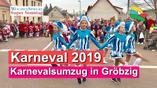 Karneval 2019 Karnevalsumzug in Gröbzig [upl. by Zaragoza]