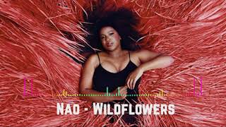 Nao  Wildflowers Audio [upl. by Alocin]