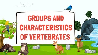 Groups of VertebratesGroups and characteristics of vertebratesClassification of vertebrates [upl. by Merrill]